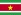 Car Hire Suriname
